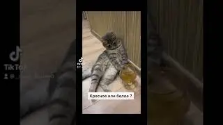 Красное или белое?