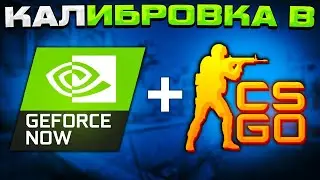 КАЛИБРОВКА В GEFORCE NOW - КАКОЕ ЗВАНИЕ ДАДУТ? (CS:GO)