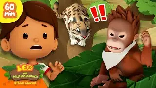 Protect the Baby Orangutan! 🌍 | Endangered Animals | Leo the Wildlife Ranger | Kids Cartoons