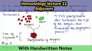 Adjuvant | Immunology lecture 22 | Readymade notes for exam