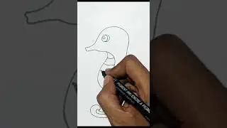 How to Draw Seahorse 