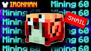 A Great XP BOOST to MAX Your Mining Skill! ( Hypixel Skyblock Ironman ) Ep.259