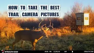 How to Take the Best Trail Camera Pictures