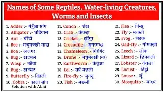 Names of some reptiles | Names of Insects | Worms and Insects names in Hindi | कीड़े मकोड़े के नाम