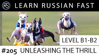 Story in Russian #205. Unleashing the Thrill.