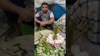 Buying lotus flowers in Kolkata, India 🇮🇳