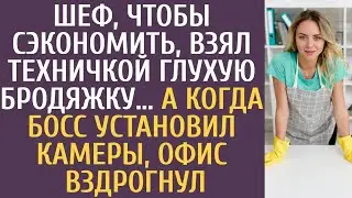 Шеф, чтобы сэкономить, взял техничкой глухую бродяжку… А когда босс установил камеры, офис вздрогнул