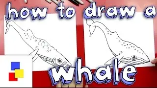 How To Draw A Whale