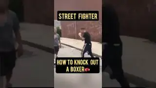 How to knock out a boxer. Street fighter. Street fighter vs. Boxer