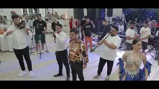 Copilul de Aur, Nicolae Guta & Adi de Adi - Nunta Robert si Lavinia (Turnu Magurele - 21.07.2024)