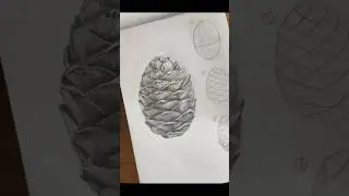 Рисуем шишку правильно