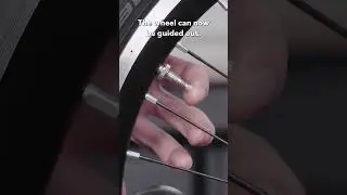 How to remove and fit the P Line wheels PT1