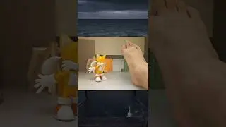 Fox + Foot smell 