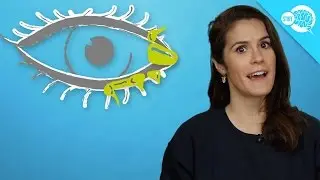 What Are Eye Boogers?