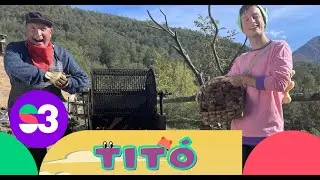 Excursió a la castanyeda - Titó