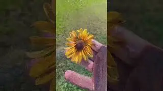 Summoning objects from the void using my laptop