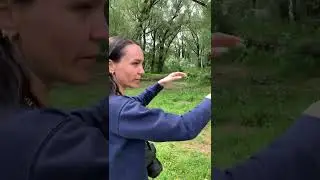 В поисках локаций.