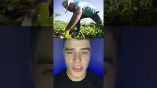 Мужчина Укусил Змею После Того Как Змея Укусила Его😱‼️ 