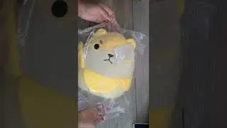 Opening Package From Amazon | Cute Banana Shiba Inu Stuffed Animals