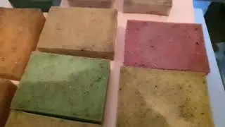 Атаковала какая то нечисть ферму Аулофоруса! Подготовка живых кормов для малька заранее!