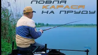 Ловля карася на пруду с поплавочной удочкой