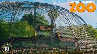 The Monkeys of Kalimantan | San Bernardino Zoo | Planet Zoo