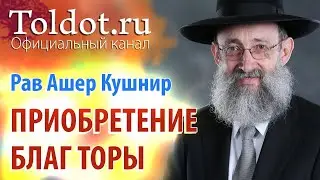 Рав Ашер Кушнир. Условия приобретения благ Торы. ДЕРЕХ АШЕМ 73