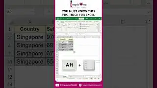 Excel Pro Level Trick for Enhancing Your Workflow 