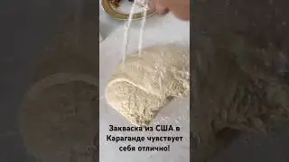 Путешествие закваски длиною 10000км. Хлеб получался просто волшебный!