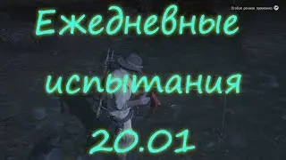 RDR 2 online где найти Лосось, где найти Цаплю RDO