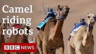 How camel riding robots saved childrens lives - Witness History, BBC World Service