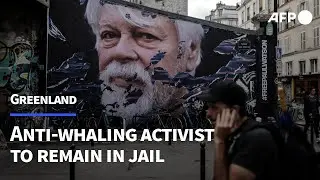 Greenland court extends detention of anti-whaling activist Paul Watson | AFP