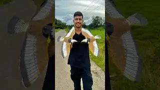 Remote control birds power 🔥 Real or fake