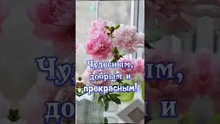 С Добрым Утром! Открытка Доброе Утро