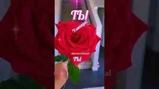 Эта РОЗА для ТЕБЯ!