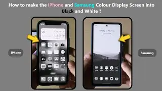 How to make the iPhone and Samsung Colour Display Screen into Black and White ?