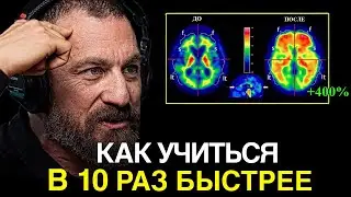 НЕЙРОУЧЕНЫЙ: Как Учиться в 10 раз БЫСТРЕЕ