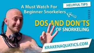 The Dos And Don'ts Of Snorkeling | A Must Watch For Beginner Snorkelers | Snorkeling for Beginners