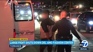 Large fight involving juveniles shuts down Del Amo Fashion Center mall in Torrance, police say