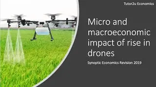 Synoptic Economics: Micro and Macro Impact of Drones