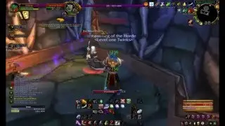 2 Lvl 1 Twinks Kill 