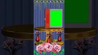 New 3D Wedding Green Screen Effects || Green Screen Status || 3D Green Screen Effects #short #viral