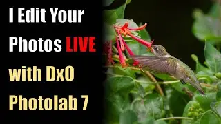 Photo Editing Live with DxO Photolab 7: Send me your photos -  Link Below! ep.130