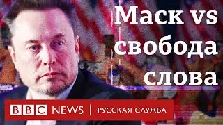 Как Илон Маск попал в американскую политику | Би-би-си объясняет