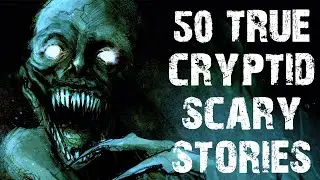 50 True Disturbing Cryptid & Deep Woods Scary Stories In The Rain | Horror Stories To Fall Asleep To