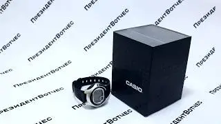 Часы Casio Illuminator LW-200-1A [LW-200-1AVEF] - видео обзор от PresidentWatches.Ru