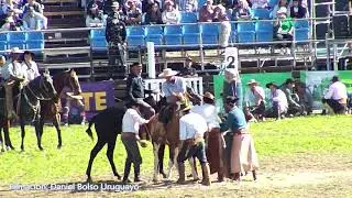 Jineteada  Marcelo Medina y el Pampero de Gonzalero