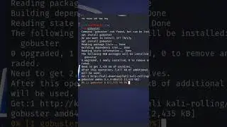 How to install gobuster in Kali Linux 