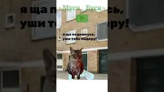 страхи детства! #глобальныерекомендации #мем #cat #кот #рекомендации #мемы #видео #юмор #мемныекоты