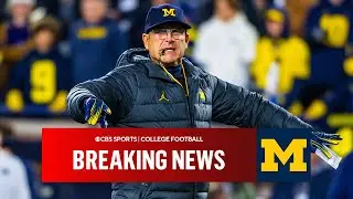 Jim Harbaugh accepts Big Tens 3-game suspension | CBS Sports